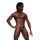 LEO LEATHER HARNESS BLACK/RED O/S-0