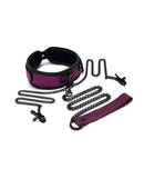 Dragon's Lair Collar, Leash, and Nipple Clips BDSM Set with Dragon-Inspired Texture in Pink and Black