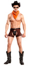 Male Power Lingerie Male Power Costume Cocky Cowboy Large to Extra Large at $23.99