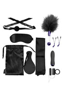 Merci VIP Room BDSM Premium Set - 11-piece kinky kit with nipple clamps, feather tickler, blindfold, leash, gag, paddle, and more.