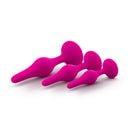 Blush Novelties Luxe Beginner Plug Kit Pink at $20.99