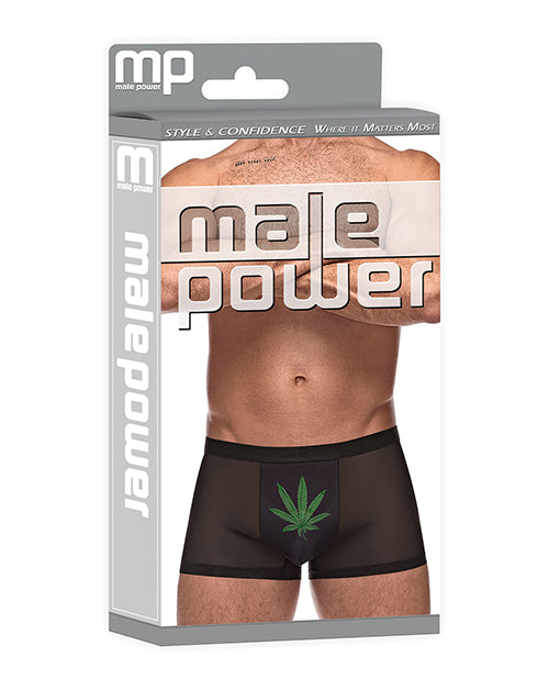 Male Power Lingerie Private Screening Pouch Shorts Pot Leaf Large at $14.99