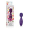 California Exotic Novelties Tiny Teasers Nubby Vibrator Purple at $19.99