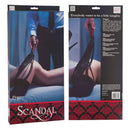 California Exotic Novelties Scandal Flogger at $36.99
