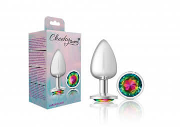 Cheeky Charms Round Rainbow Large Silver Butt Plug