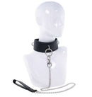 EDGE COLLAR & LEASH-1