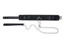 EDGE COLLAR & LEASH-3