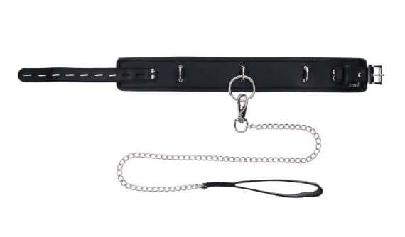 EDGE COLLAR & LEASH-4