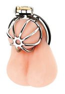 Blue Line Little Cock Chastity Cage Stainless Steel displayed, showcasing its compact and ergonomic design.