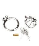 Blue Line Little Cock Chastity Cage Stainless Steel components including locking ring, cage, and keys.