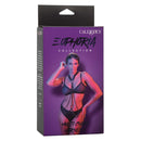Euphoria Collection Multi Chain Harness in packaging featuring an adjustable cross back design and bold, modern allure.