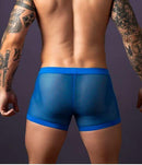 Male Power Fishnet 2.0 PCH Short Royal S displayed on a model showcasing its bold design and comfortable fit.
