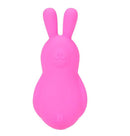 BRI VIBRATING BUNNY PINK-2