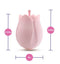 PLAY WITH ME ROMANTIC ROSE PINK-4