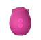 BLUSH COLLECTION THE ORIGINAL BLUSH ROSE - VELVET-5