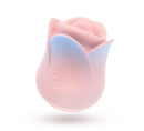 BLUSH KISSING ROSE PINK-7