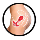 THE BEAT INTIMATE ERO-VIBE RED-3
