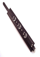 Rouge 3 D Ring Padded Leather Adjustable Collar Black shown in black leather with metallic rings and adjustable buckle.