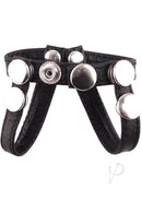 Rouge Arab Strap Leather Cock and Balls Strap Black featuring silver studs and adjustable design for BDSM play.