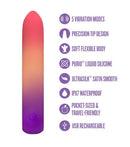 Play With Me Sunset Passion Rechargeable Silicone Vibrator infographic features 5 vibration modes, precision tip design, and USB rechargeable.