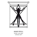 Fifty Shades of Grey Playroom Over the Bed Cross Restraints illustration depicting a cross restraint setup.
