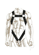 Prowler RED Noir Body Harness XL Black, a bold black fetish harness showcasing style and confidence.