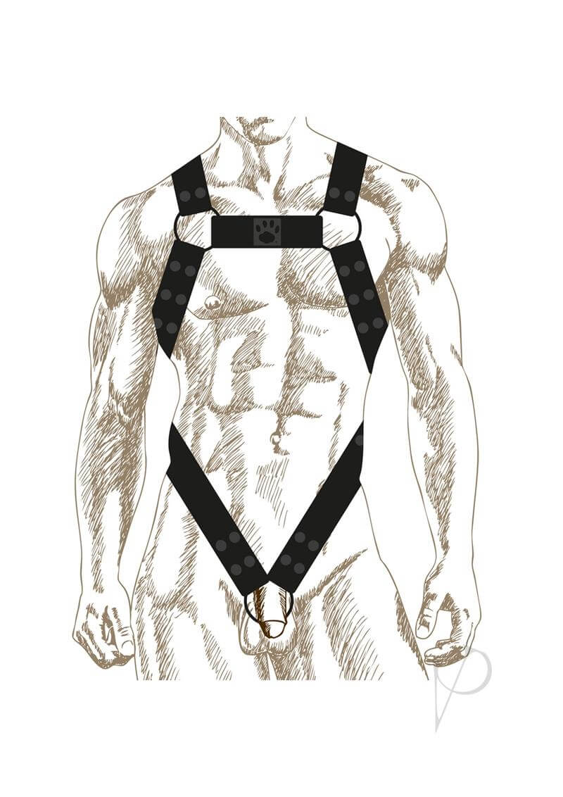 Prowler RED Noir Body Harness XL Black, a bold black fetish harness showcasing style and confidence.