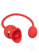 French Kiss Casanova Clit Stimulator Red with flickering teaser and vibrating bullet for layered play.