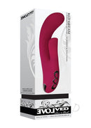Evolved Red Dream Rechargeable Silicone Vibrator Burgundy showcased in packaging, featuring dual motors and 10 vibrations.