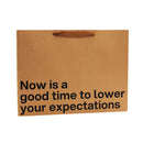 Wood Rocket Lower Your Expectations Large Gift Bag featuring humorous text on a brown paper bag.