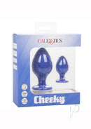 Cheeky Silicone Textured Anal Plugs Set of 2 with distinct sizes and unique surface textures, in blue packaging.