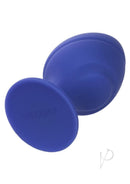 Cheeky Silicone Textured Anal Plugs Set of 2, blue silicone textured anal plug for gradual exploration.