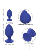Cheeky Silicone Textured Anal Plugs Set of 2 in blue, showcasing two sizes with textured surfaces.