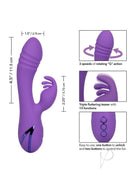 California Dreaming West Coast Wave Rider Rabbit Vibrator with purple silicone design and 3 speeds of rotating G action.