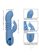 California Dreaming Santa Cruz Coaster Rabbit Vibrator Blue showcases its sleek design and features like thrusting action and clitoral teaser.