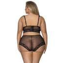 Magic Silk Bra Split Crotch Short and Cat Ears Black 2XL showing back view of lace demi bra and matching boyshort.