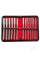 Rouge Hegar Stainless Steel 14 Piece Dilator Set Silver displayed in a zippered case with red lining.
