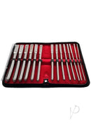 Rouge Hegar Stainless Steel 14 Piece Dilator Set Silver displayed in a red velvet case, showcasing sleek, polished stainless steel design.