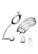 Blue Line Cock Cage With Anal Stimulator Stainless Steel includes a cock cage, anal stimulator, padlock, and keys.