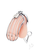 Blue Line Cock Cage With Anal Stimulator Stainless Steel close-up image showcasing sleek design and features.