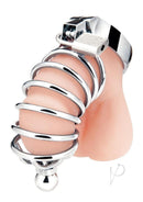 Blue Line Urethral Play Cage Stainless Steel on display showcasing its design and features for adventurous partner play.