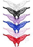 Leg Avenue Butterfly Crotchless Panty Plus Size 12 Pack in assorted colors with butterfly designs and sequin details.