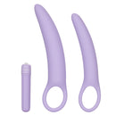 Dr Laura Berman Isabelle Vibrating Silicone Dilator Set with two contoured purple dilators and a vibrating bullet.