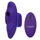 Lock-N-Play Remote Suction Panty Teaser Purple with remote control for hands-free stimulation.