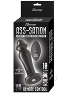 Ass-Sation Remote Vibrating Metal Anal Lover Plug Black packaging with remote control and 10 functions.