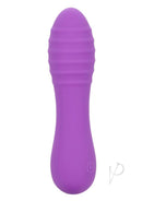 Bliss Liquid Silicone Ripple Rechargeable Vibrator Purple showcasing sleek design and textured pleasure ridges for enhanced sensation.