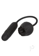 French Kiss Elite Romeo Clitoral Silicone Vibrator Black in sleek black design for targeted stimulation.