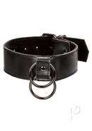 Euphoria Collection Collar with Chain Leash Black close-up of black vegan leather collar with double rings
