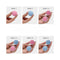 LELO BEADS Mini Kegel Balls Set Blue Pink shown with weekly usage guide for optimal pelvic floor exercises.