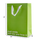 Just Smile and Say You Love It Color Gift Bag Green with white ribbon handle, size 8x11x4 inches, fun sarcastic message.